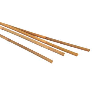 Kiwi Cane Bamboo Stakes
