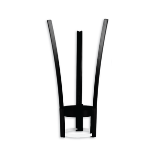 Tree Coach Small Bio - 4L to 18L