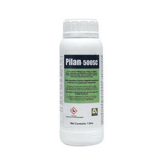 Adria Crop Protection Pilan 500 SC Insecticide