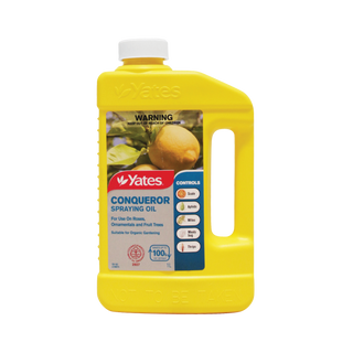 Yates Conqueror Spraying Oil Insecticide