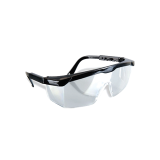 Visual Black Trim Safety Glasses